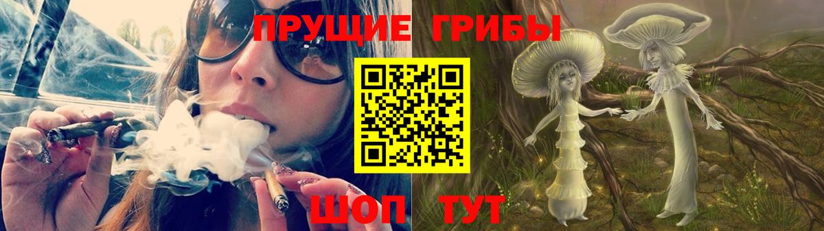 Лесной  Псилоцибиновые грибы GOLDEN TEACHER  Вход с VPN 
