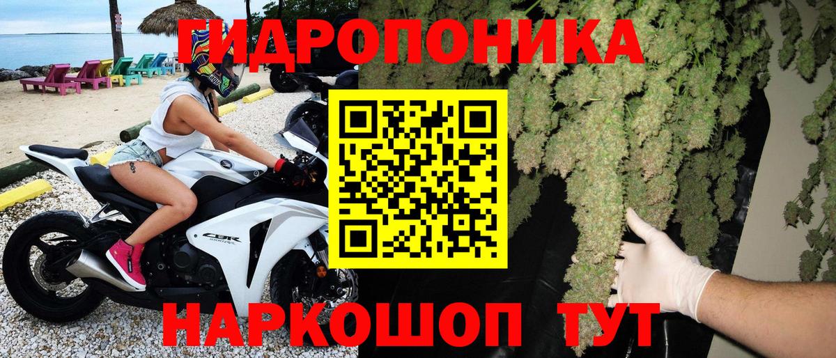 Каннабис AK-47 Лесной